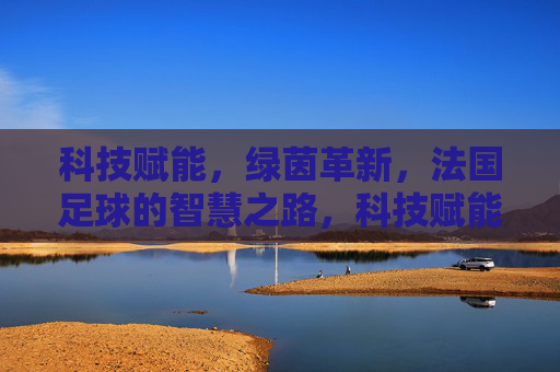 科技赋能，绿茵革新，法国足球的智慧之路，科技赋能绿茵革新，法国足球的智慧之路