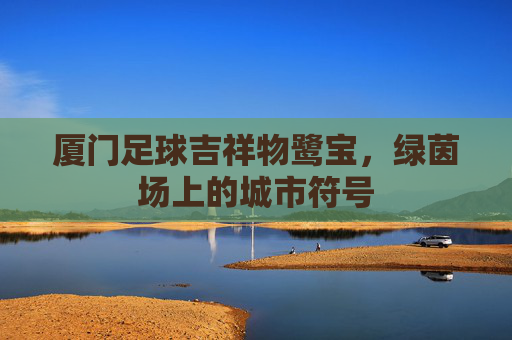 厦门足球吉祥物鹭宝，绿茵场上的城市符号