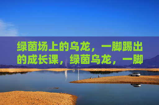 绿茵场上的乌龙，一脚踢出的成长课，绿茵乌龙，一脚踢出的成长课