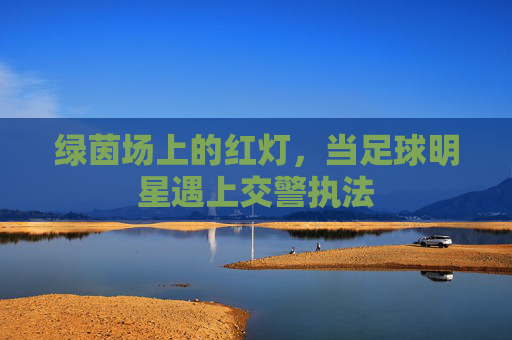 绿茵场上的红灯，当足球明星遇上交警执法