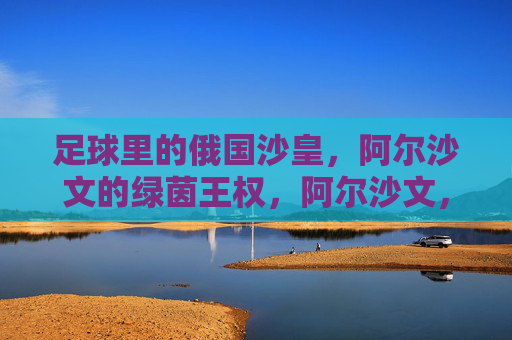 足球里的俄国沙皇，阿尔沙文的绿茵王权，阿尔沙文，绿茵沙皇的王权