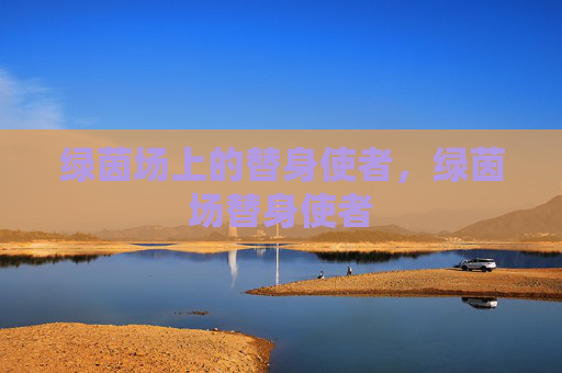 绿茵场上的替身使者，绿茵场替身使者