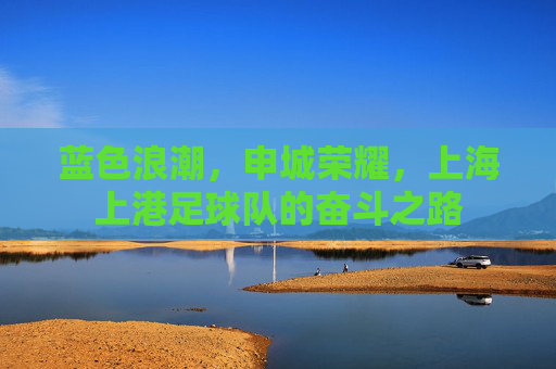蓝色浪潮，申城荣耀，上海上港足球队的奋斗之路