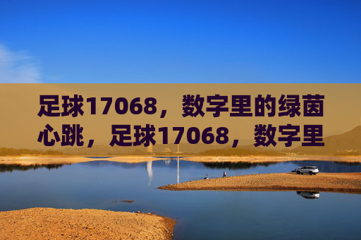 足球17068，数字里的绿茵心跳，足球17068，数字里的绿茵心跳