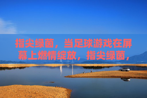 指尖绿茵，当足球游戏在屏幕上燃情绽放，指尖绿茵，屏幕燃情绽放
