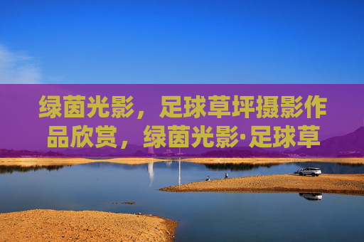 绿茵光影，足球草坪摄影作品欣赏，绿茵光影·足球草坪摄影作品