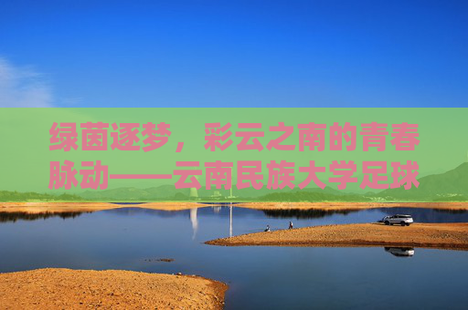 绿茵逐梦，彩云之南的青春脉动——云南民族大学足球故事，彩云逐梦绿茵间，云南民族大学青春足球故事