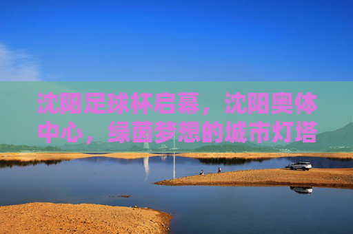 沈阳足球杯启幕，沈阳奥体中心，绿茵梦想的城市灯塔，沈阳足球杯启幕 奥体中心点亮绿茵梦想城市灯塔