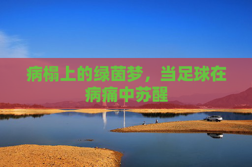 病榻上的绿茵梦，当足球在病痛中苏醒