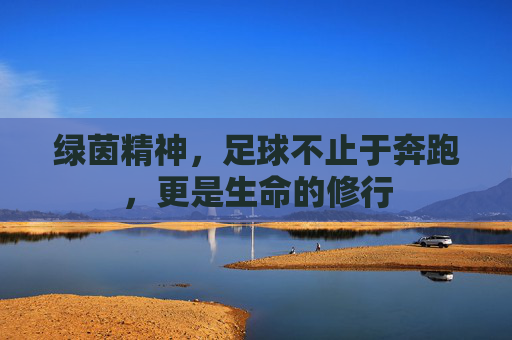 绿茵精神，足球不止于奔跑，更是生命的修行