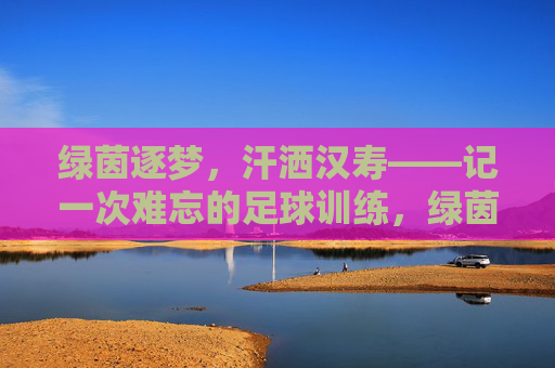 绿茵逐梦，汗洒汉寿——记一次难忘的足球训练，绿茵逐梦汗洒汉寿，难忘足球训练