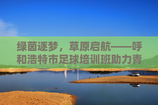 绿茵逐梦，草原启航——呼和浩特市足球培训班助力青少年成长，呼和浩特足球培训班，绿茵逐梦，助力青少年成长