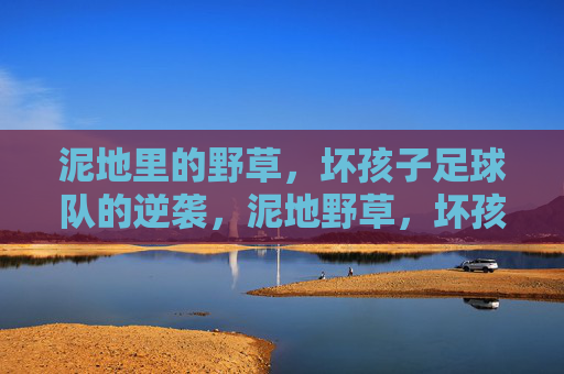 泥地里的野草，坏孩子足球队的逆袭，泥地野草，坏孩子足球队的逆袭