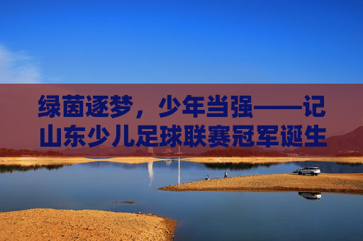 绿茵逐梦，少年当强——记山东少儿足球联赛冠军诞生记，绿茵逐梦少年强——山东少儿足球联赛冠军诞生