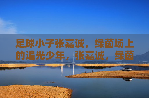 足球小子张嘉诚，绿茵场上的追光少年，张嘉诚，绿茵场上的追光少年