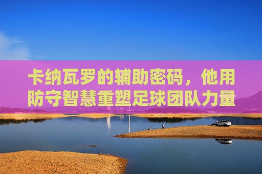 卡纳瓦罗的辅助密码，他用防守智慧重塑足球团队力量，卡纳瓦罗的防守智慧，重塑足球团队力量的密码