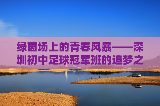 绿茵场上的青春风暴——深圳初中足球冠军班的追梦之路，绿茵青春风暴，深圳初中足球冠军班的追梦之路