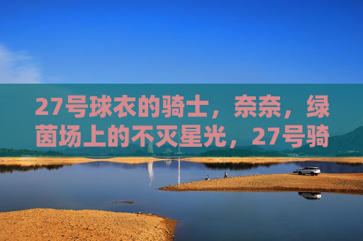 27号球衣的骑士，奈奈，绿茵场上的不灭星光，27号骑士奈奈，绿茵不灭星光