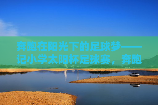 奔跑在阳光下的足球梦——记小学太阳杯足球赛，奔跑在阳光下的足球梦——小学太阳杯足球赛