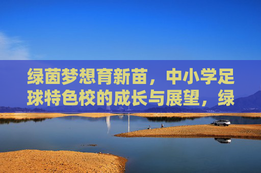 绿茵梦想育新苗，中小学足球特色校的成长与展望，绿茵梦想育新苗，中小学足球特色校的成长与展望