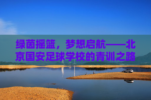 绿茵摇篮，梦想启航——北京国安足球学校的青训之路，北京国安足球学校青训，绿茵摇篮，梦想启航