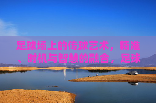 足球场上的传球艺术，精准、时机与智慧的融合，足球传球艺术，精准、时机与智慧的交响