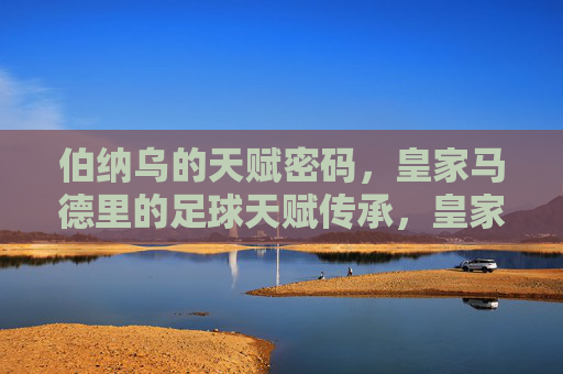 伯纳乌的天赋密码，皇家马德里的足球天赋传承，皇家马德里的伯纳乌密码，足球天赋传承