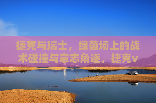 捷克与瑞士，绿茵场上的战术碰撞与意志角逐，捷克vs瑞士，战术与意志的绿茵对决