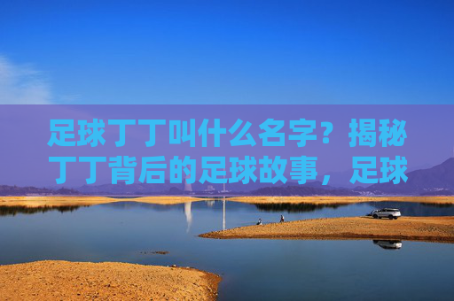 足球丁丁叫什么名字？揭秘丁丁背后的足球故事，足球丁丁名字揭秘，背后的足球故事