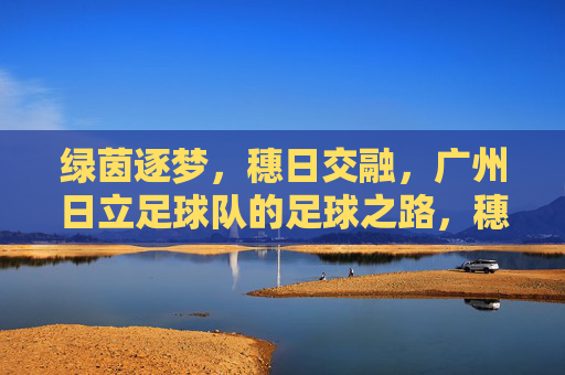 绿茵逐梦，穗日交融，广州日立足球队的足球之路，穗日逐梦，广州日立足球之路