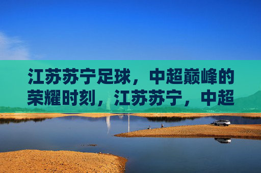 江苏苏宁足球，中超巅峰的荣耀时刻，江苏苏宁，中超巅峰荣耀