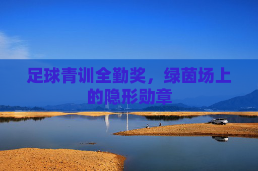 足球青训全勤奖，绿茵场上的隐形勋章