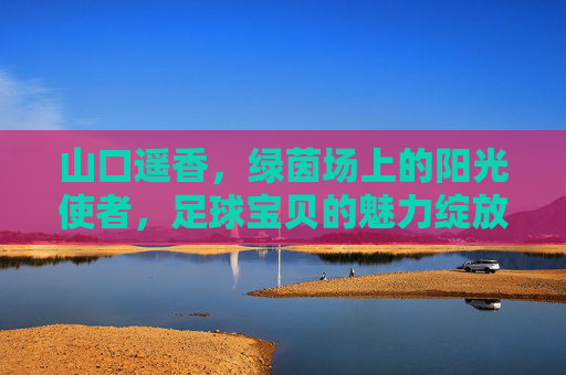 山口遥香，绿茵场上的阳光使者，足球宝贝的魅力绽放，山口遥香，绿茵场阳光使者，足球宝贝魅力绽放