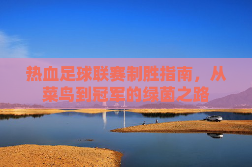 热血足球联赛制胜指南，从菜鸟到冠军的绿茵之路