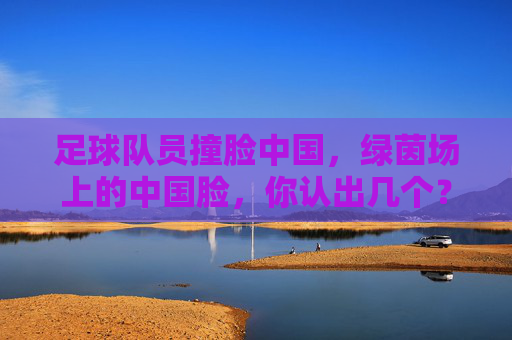 足球队员撞脸中国，绿茵场上的中国脸，你认出几个？绿茵场上的中国脸，撞脸足球队员，你认出几个？