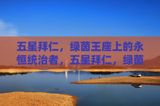 五星拜仁，绿茵王座上的永恒统治者，五星拜仁，绿茵王座的永恒统治者