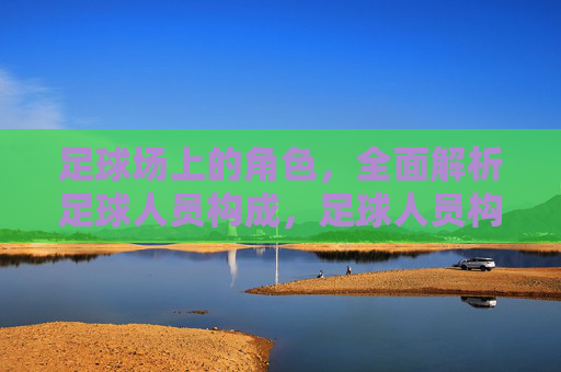 足球场上的角色，全面解析足球人员构成，足球人员构成，场上的角色全解析