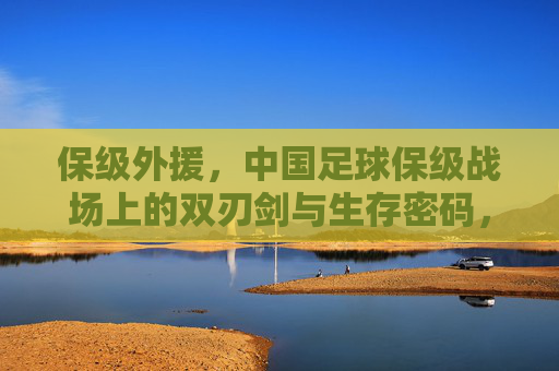 保级外援，中国足球保级战场上的双刃剑与生存密码，保级外援，中国足球保级战场的双刃剑与生存密码