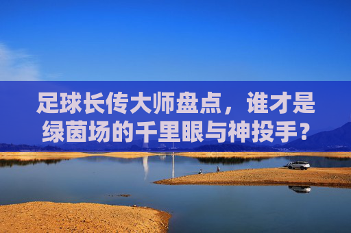 足球长传大师盘点，谁才是绿茵场的千里眼与神投手？足球长传大师，绿茵场的千里眼与神投手？