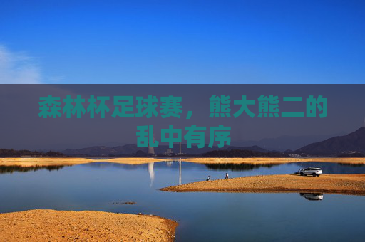 森林杯足球赛，熊大熊二的乱中有序