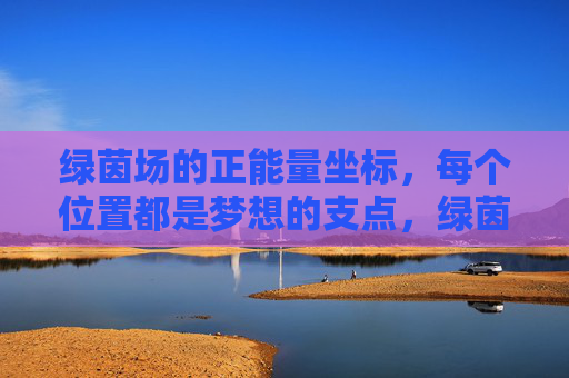 绿茵场的正能量坐标，每个位置都是梦想的支点，绿茵场位置坐标，梦想的正能量支点