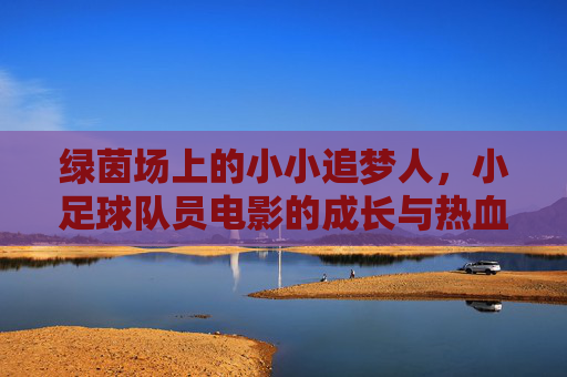 绿茵场上的小小追梦人，小足球队员电影的成长与热血，绿茵追梦，小球员的热血成长