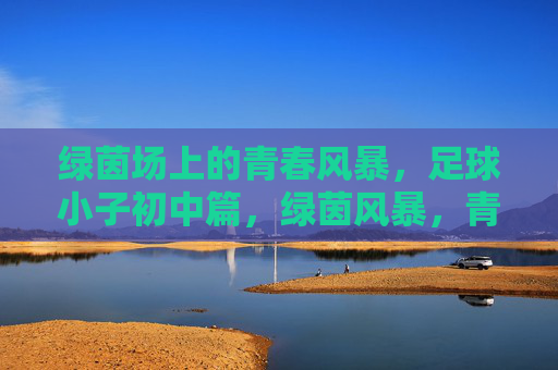绿茵场上的青春风暴，足球小子初中篇，绿茵风暴，青春足球初中篇
