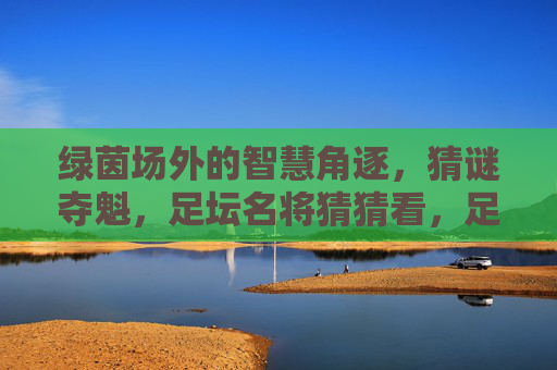 绿茵场外的智慧角逐，猜谜夺魁，足坛名将猜猜看，足坛名将猜谜智慧角逐