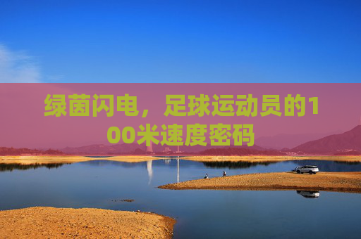 绿茵闪电，足球运动员的100米速度密码