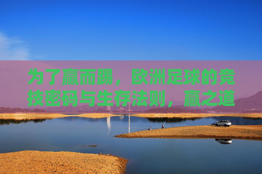 为了赢而踢，欧洲足球的竞技密码与生存法则，赢之道，欧洲足球的竞技密码与生存法则