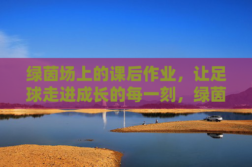 绿茵场上的课后作业，让足球走进成长的每一刻，绿茵课后作业，足球伴成长的每一刻