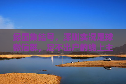 绿茵集结号，深圳实况足球微信群，足不出户的线上主场，绿茵线上主场，深圳实况足球集结号