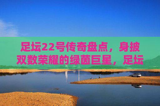 足坛22号传奇盘点，身披双数荣耀的绿茵巨星，足坛22号传奇，双数荣耀铸就的绿茵巨星