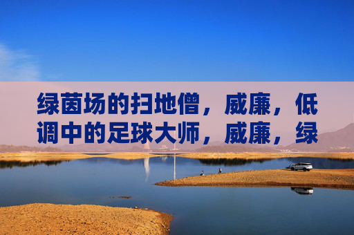 绿茵场的扫地僧，威廉，低调中的足球大师，威廉，绿茵场的低调扫地僧